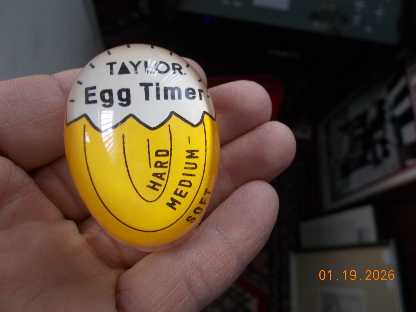 Plastic Color Changing Taylor Egg Timer