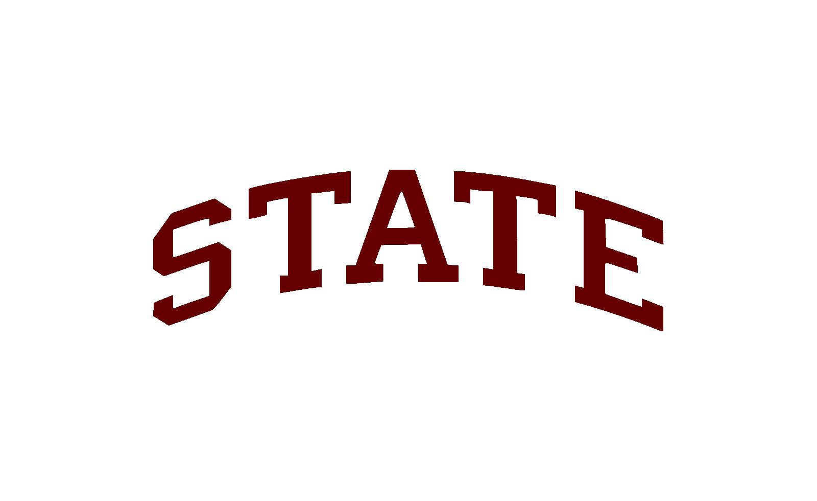 Mississippi State Stencil - Reusalble Pattern - 10 Mil Mylar