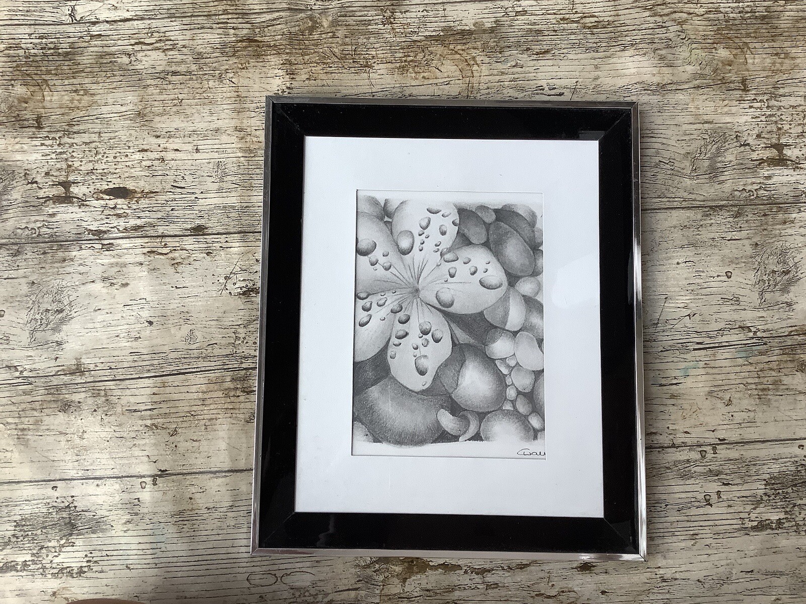 Flower With Water Droplets Drawing Sketch
