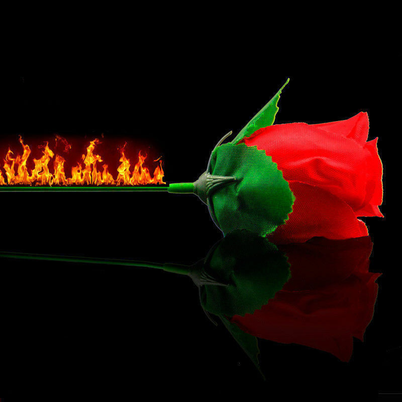 Torch to Rose Fire Magic Trick Flame Appearing Flower