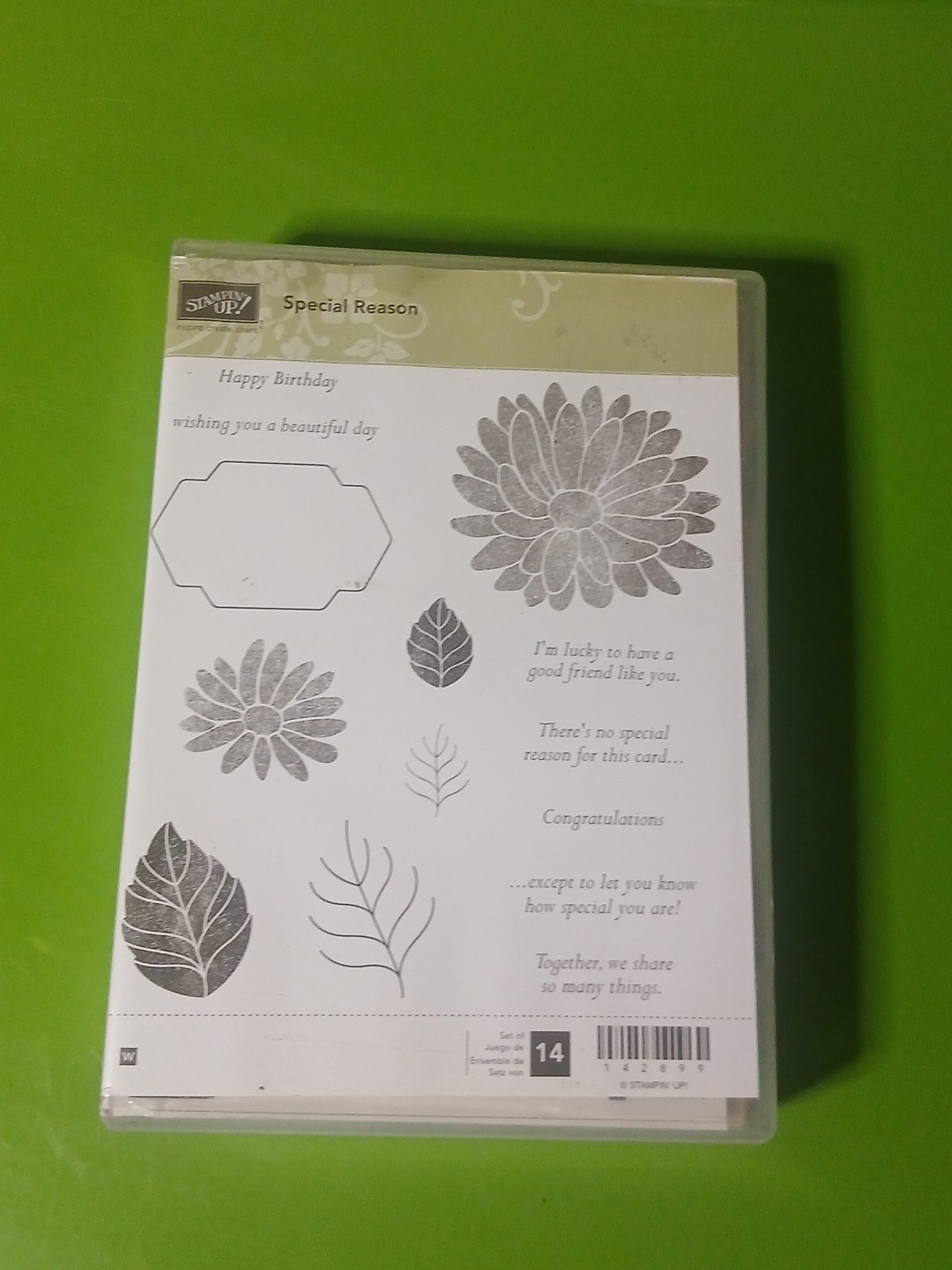 STAMPIN' UP "SPECIAL REASON" RUBBER STAMP SET STYLISH STEMS DIES FLOWERS LEAVES