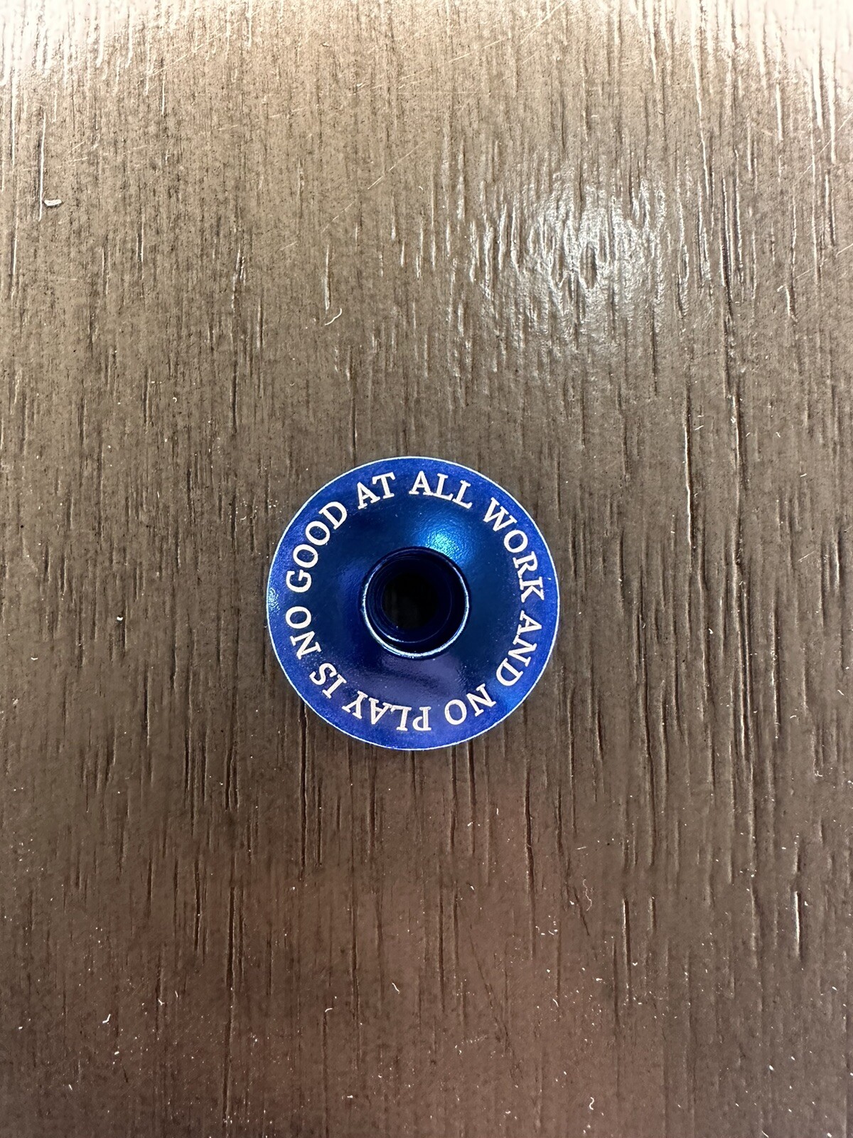 All Work And No Play Is No At All Bike Top Cap 1 1/8" Blue Stem Gary Fisher