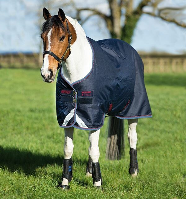 Amigo Bravo 12 Medium Turnout with Leg Arches - Pony - Navy/Red