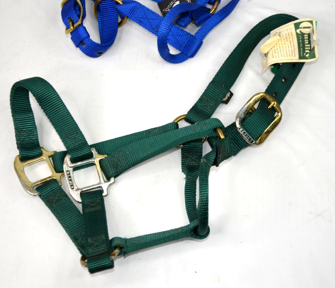 Weaver Small & Yearling Horses NYLON HALTERS NWT Adjustable 1" Blue Green Big D