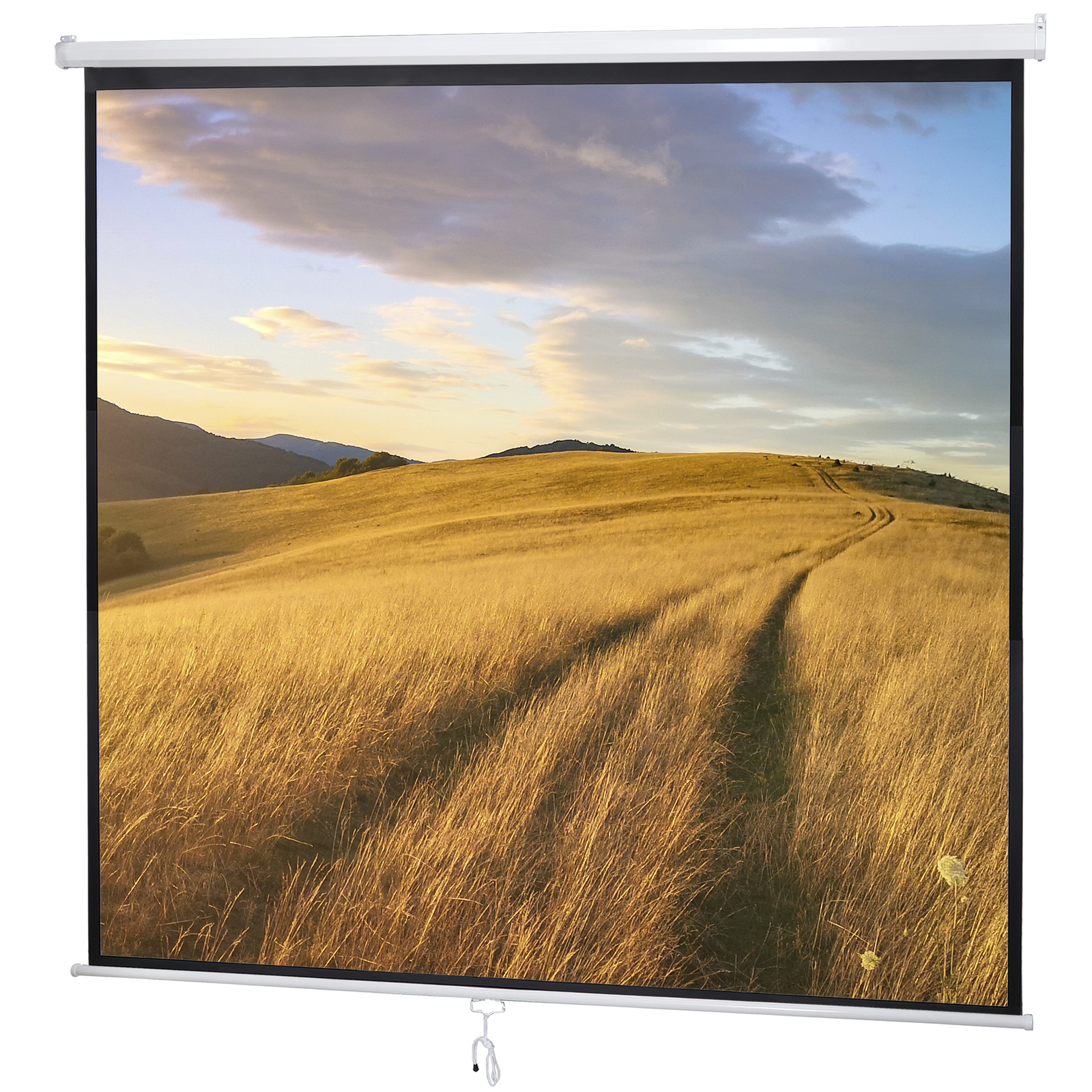 120'' Projector Screen Projection Screen Manual Pull Down HD Screen 1:1 Format