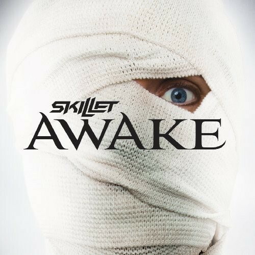 Awake by Skillet (CD, 2009)