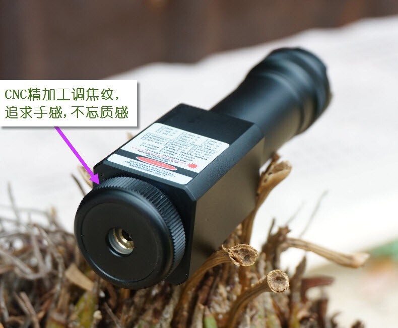 Waterproof 405nm Violet Blue Laser Pointer Focusable Laser Module