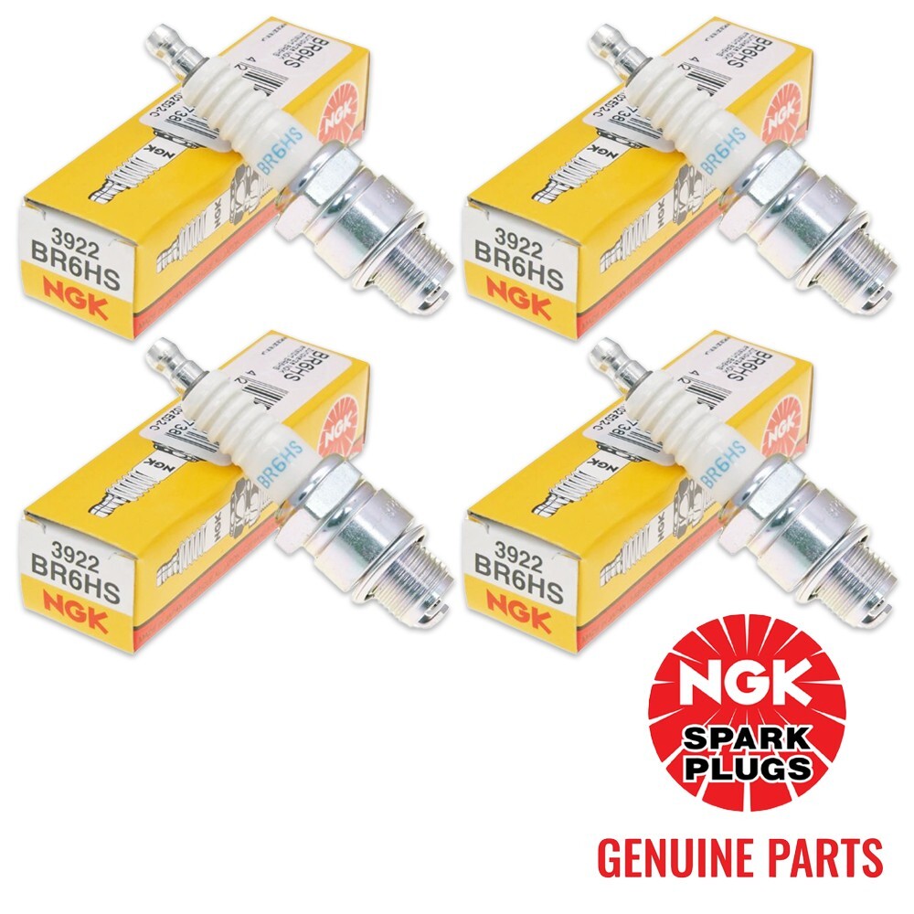 Genuine NGK BR6HS (3922) Spark Plug - 4 PACK