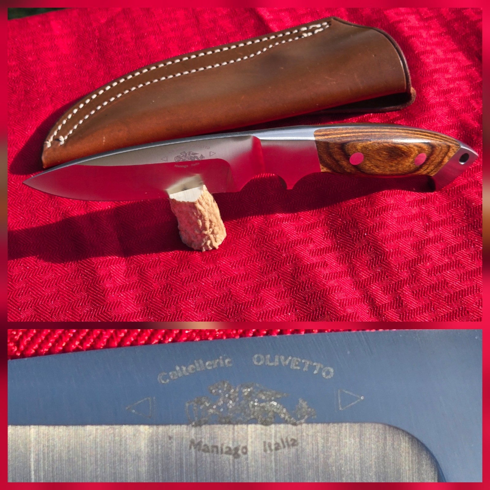 COLTELLO OLIVETTO Hunting Fixed Blade Hunter Knife Handle Italy UNUSED COND EXC