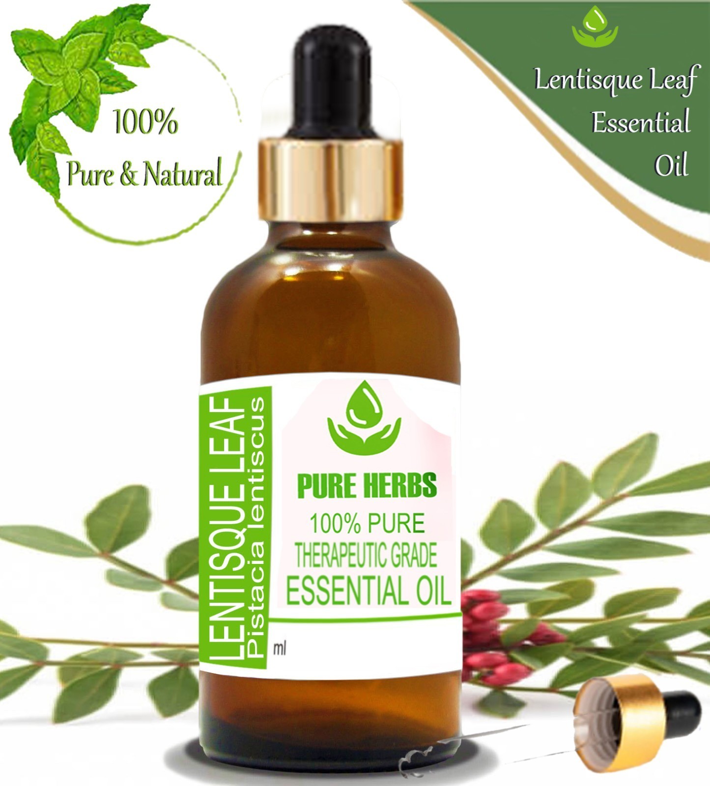 Pure Herbs lentisque leaf Pistacia lentiscus Essential Oil nR519