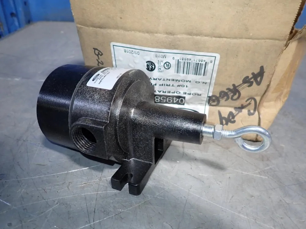 REED 04958-100 ROPE OPERATED SWITCH  04200600978