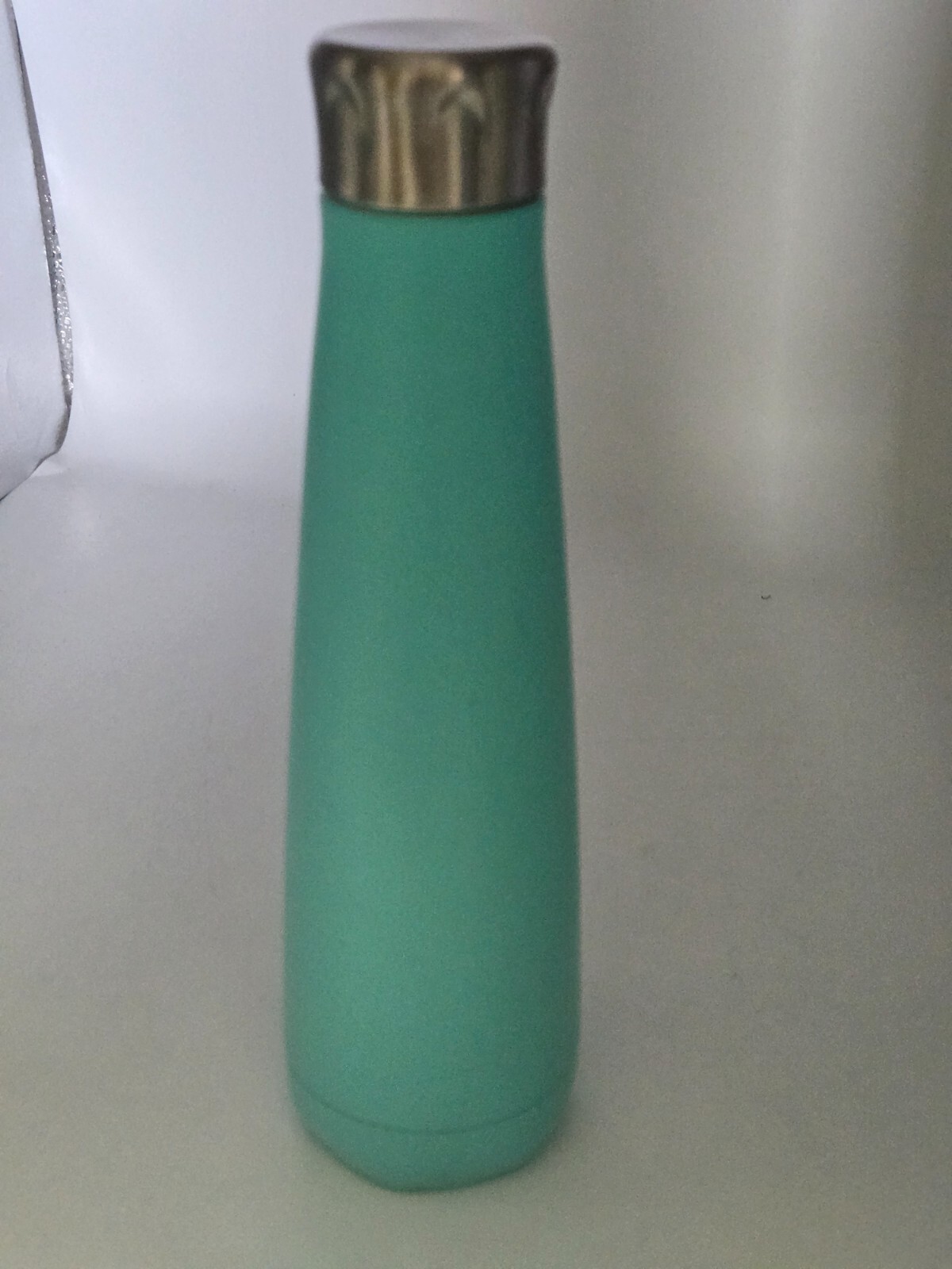 Peristyle Bottle 16 oz Stainless Steel Bottle with Screw on Lid – Mint---C