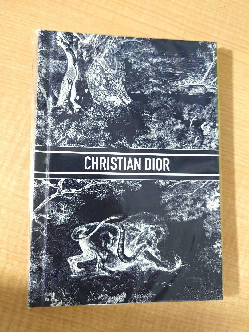 DIOR note Novelty Platinum