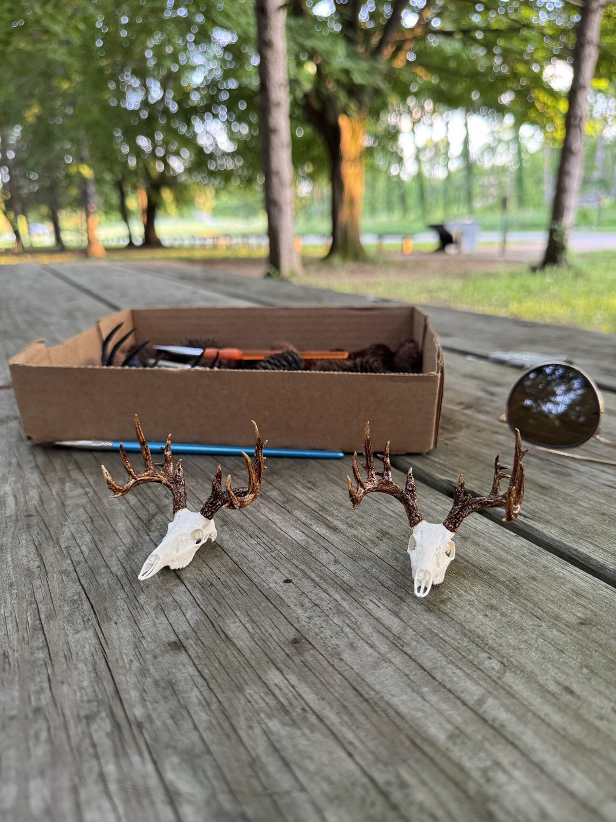 2 Mini Deer Skull & Antler Mirror Hangers, White/Brown