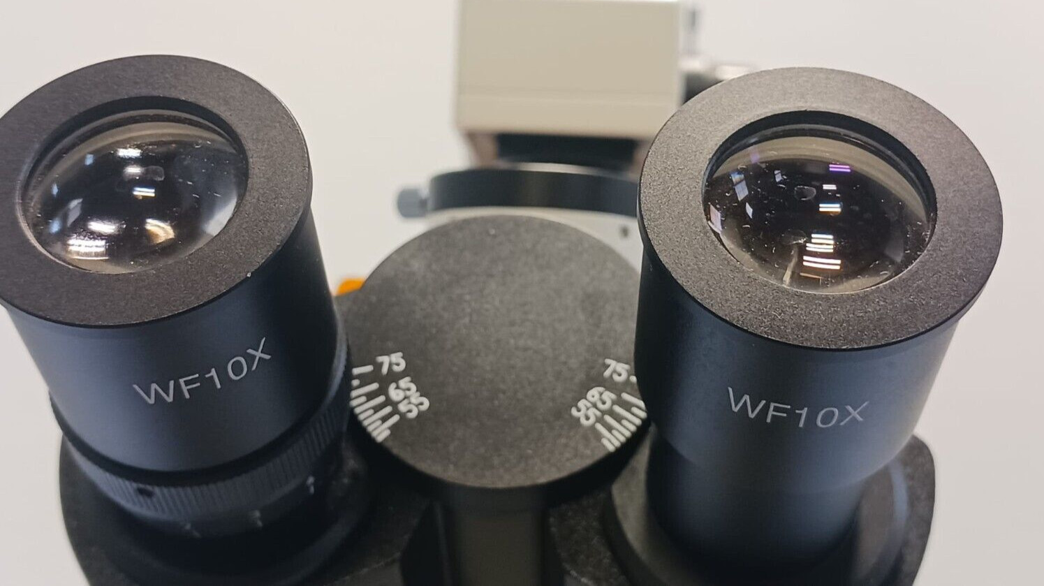 Jenco Binocular Inverted Compound Microscope w/ 10X 25X 40X Objective Lens