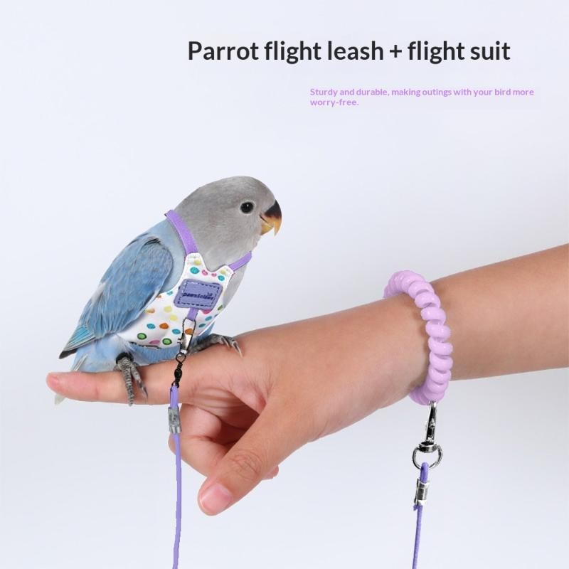 Parrot Harness And Leash Set With Soft Vest Sturdy Anti Escape For Small Parrots