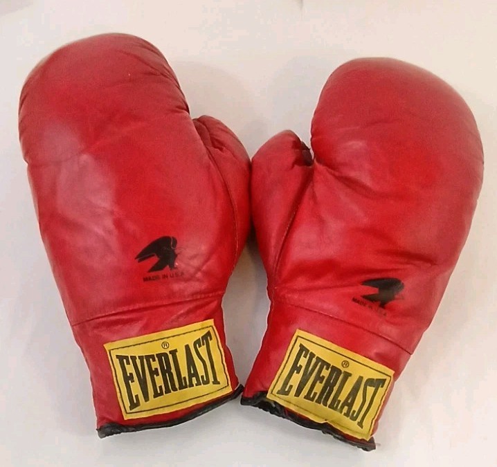 Vintage Everlast 14oz Laceless Leather Boxing Gloves - Red, Made In USA EAGLE