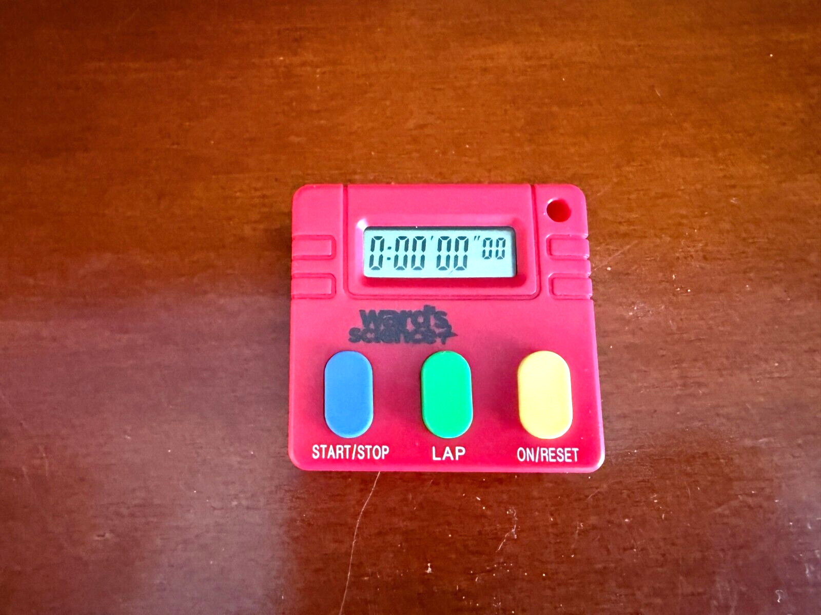 Ward's Science 470149-406 Digital Timer