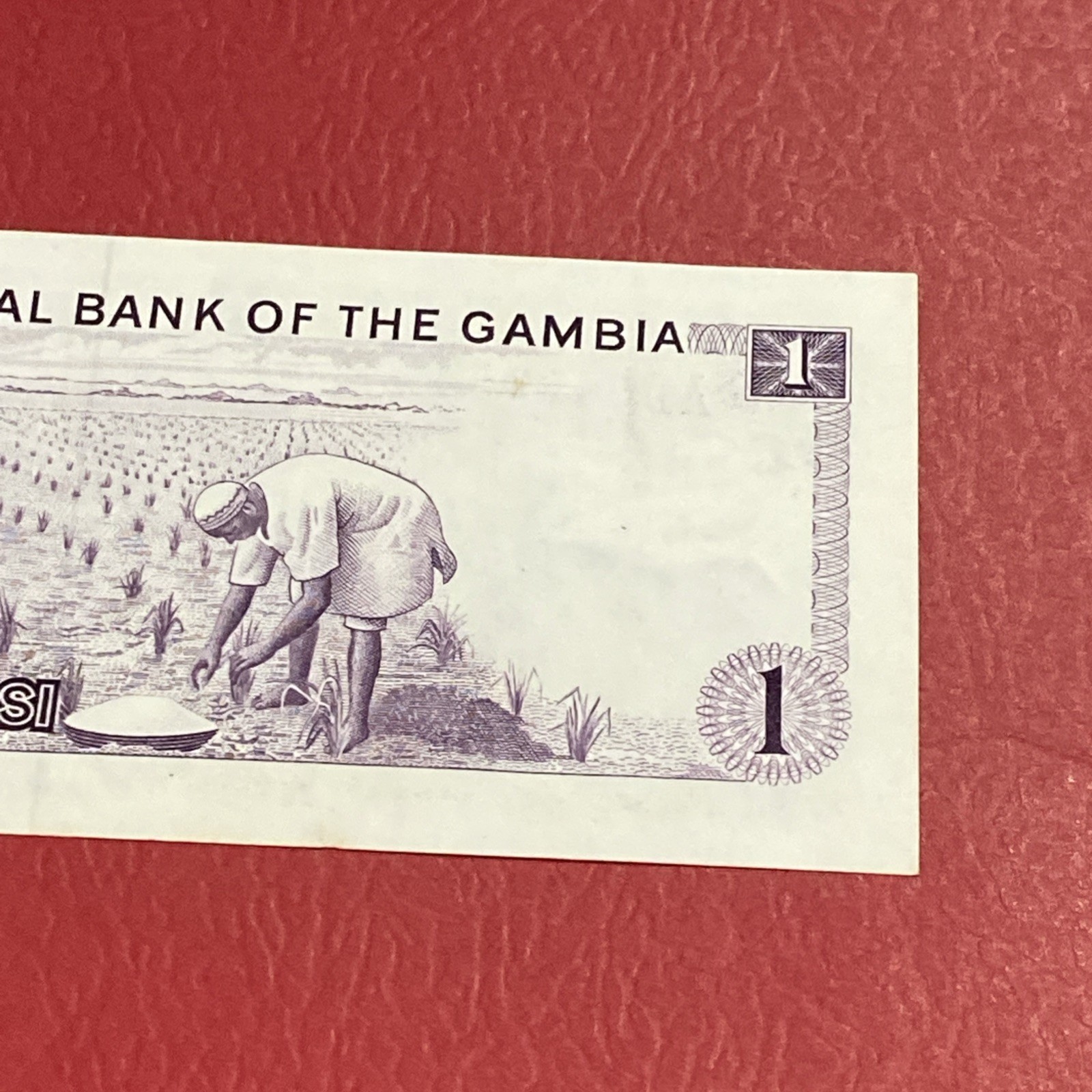 Gambia- Dalasi-1971-87