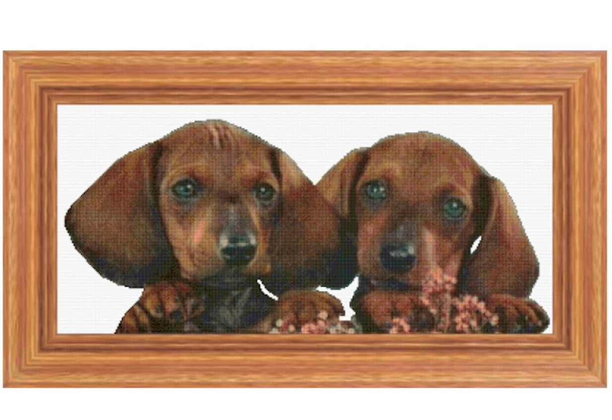 Dachshund Puppies Cross Stitch Pattern + Photo - Medium Size, Medium level Chart