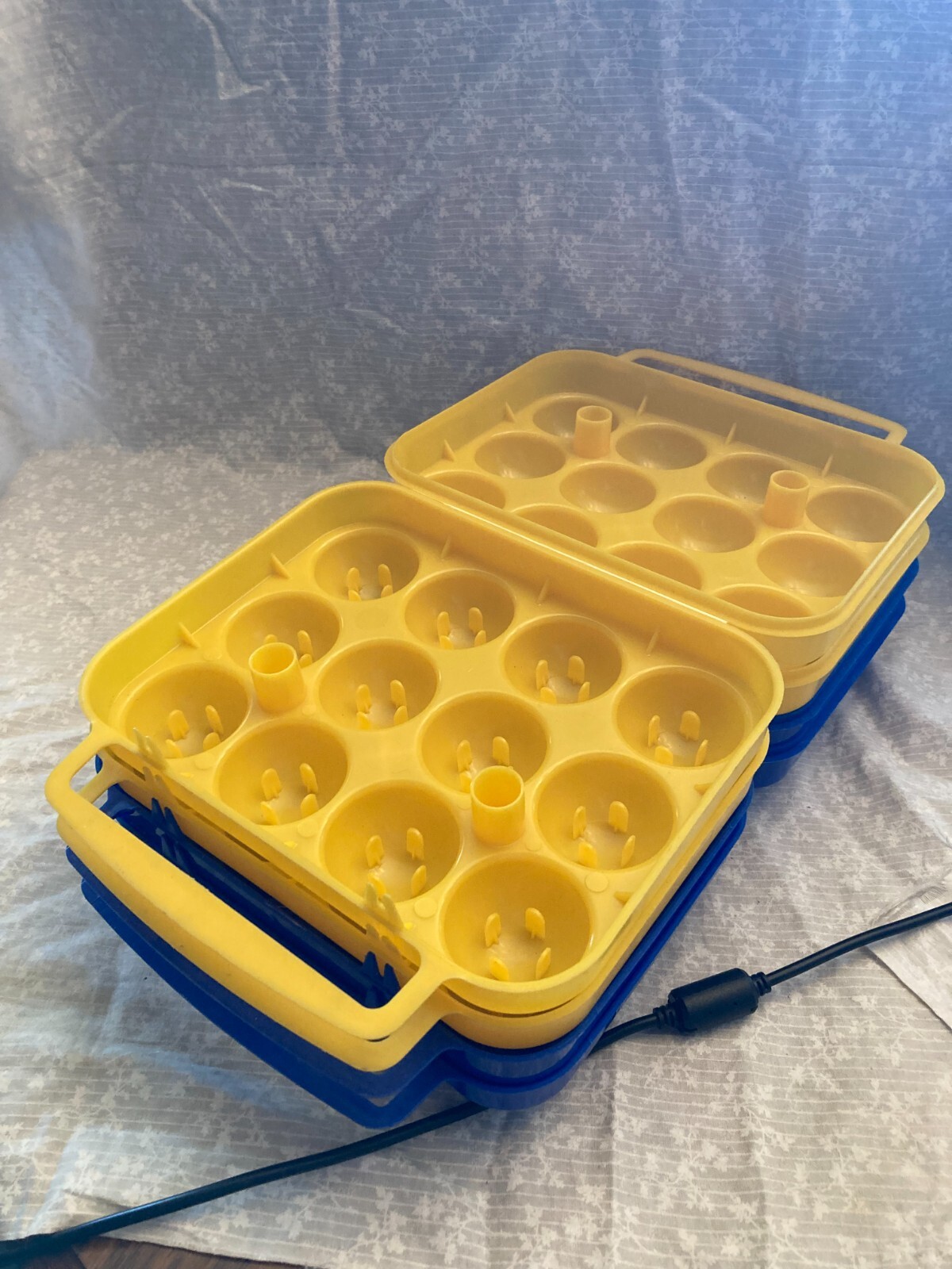 set of 4 plastic egg keepers for camping. Each holds 1 dozen eggs. Never have