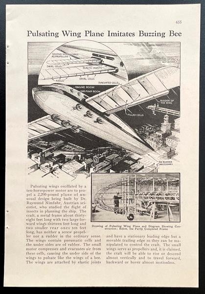 “Pulsating Wing Plane Imitates Buzzing Bee” 1934 pictorial Dr. Raymund Nimfuhr