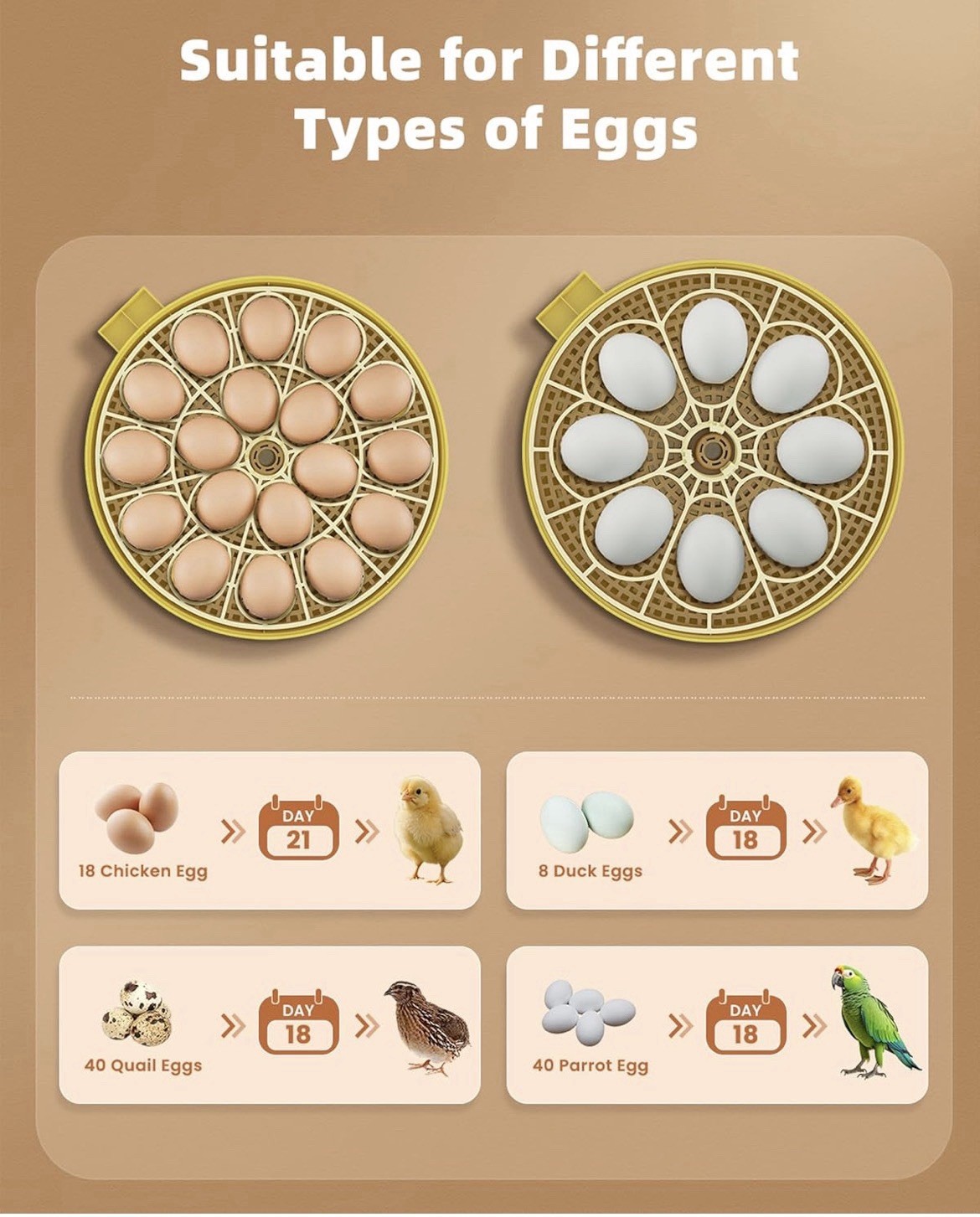 18 Egg Incubator with Automatic Egg Turning With Digital Control Builtin Candler