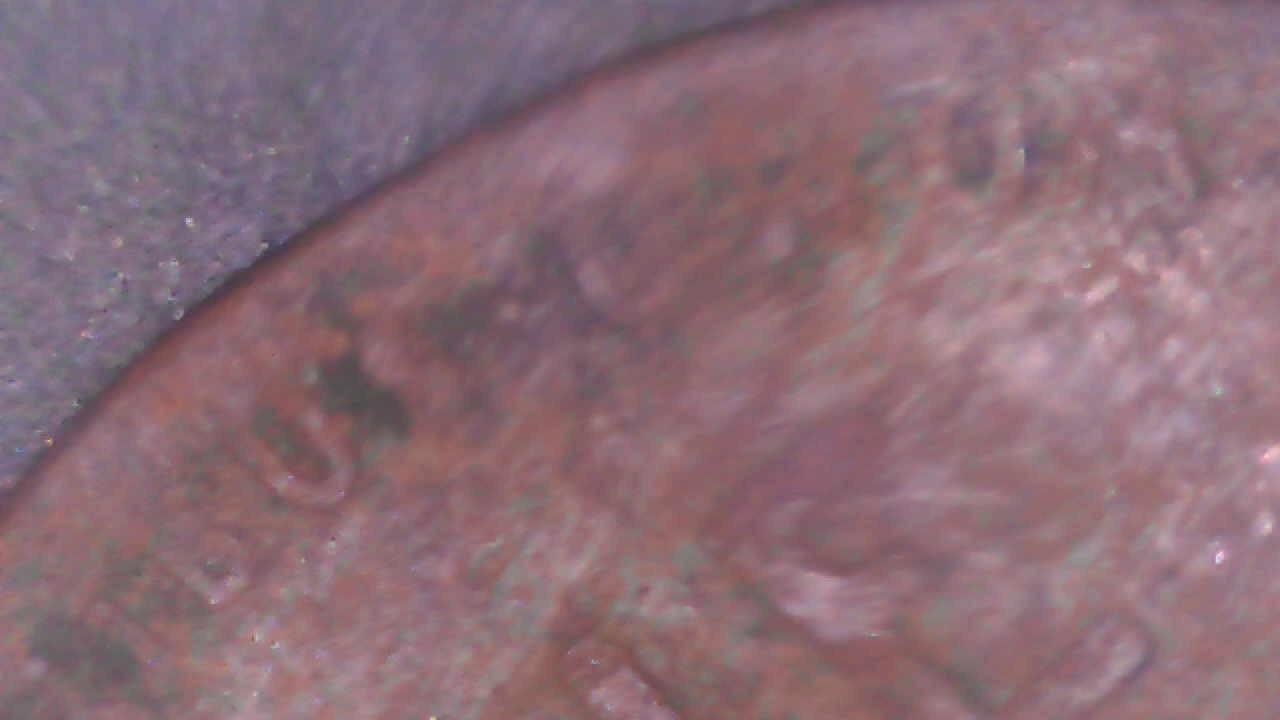 1919 P Liberty Lincoln Wheat Cent