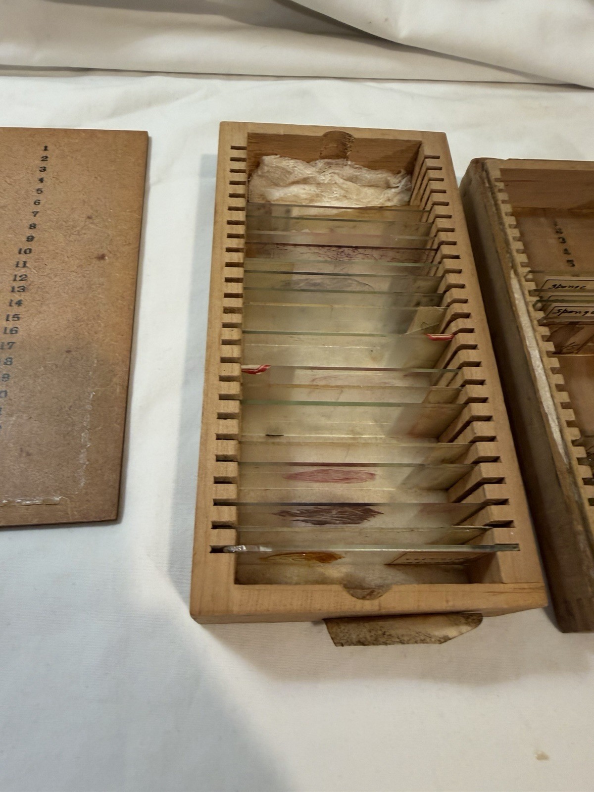 Vintage Microscope Medical Lab Slides