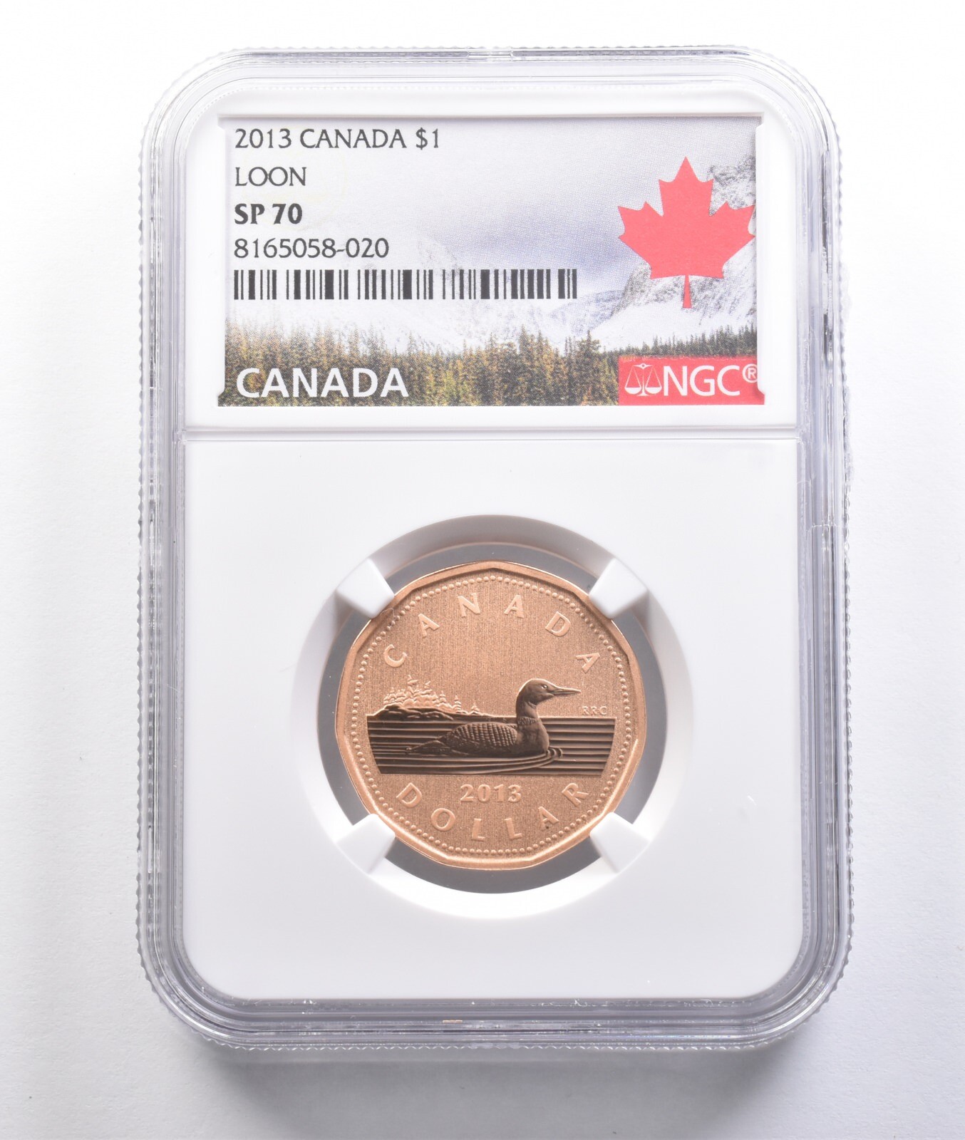 2013 Canada 1 Dollar Loon SP70 NGC *6888