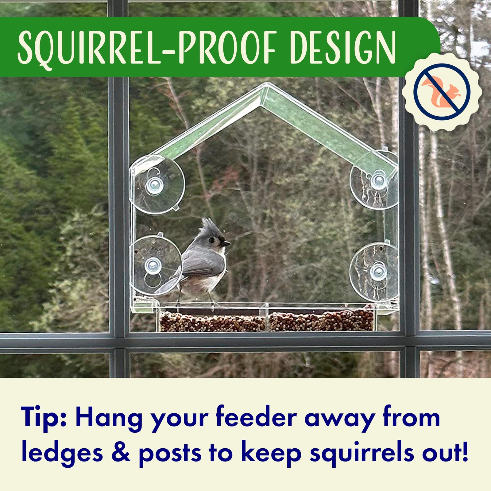 Window Bird Feeder with Strong Suction Cups, Clear 9 Inch,