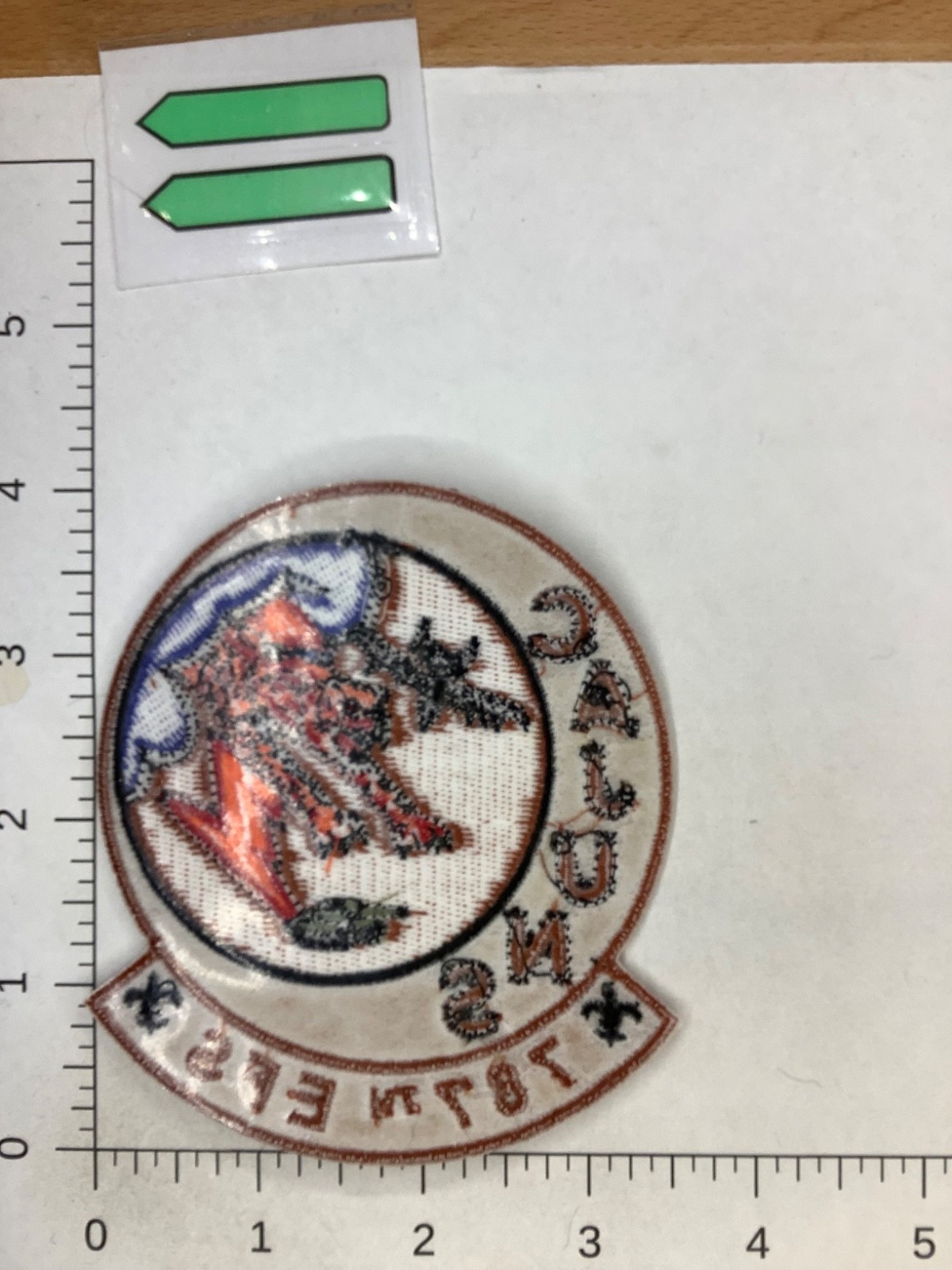 USAF CAJUNS A-10 787th EF SQUADRON PATCH