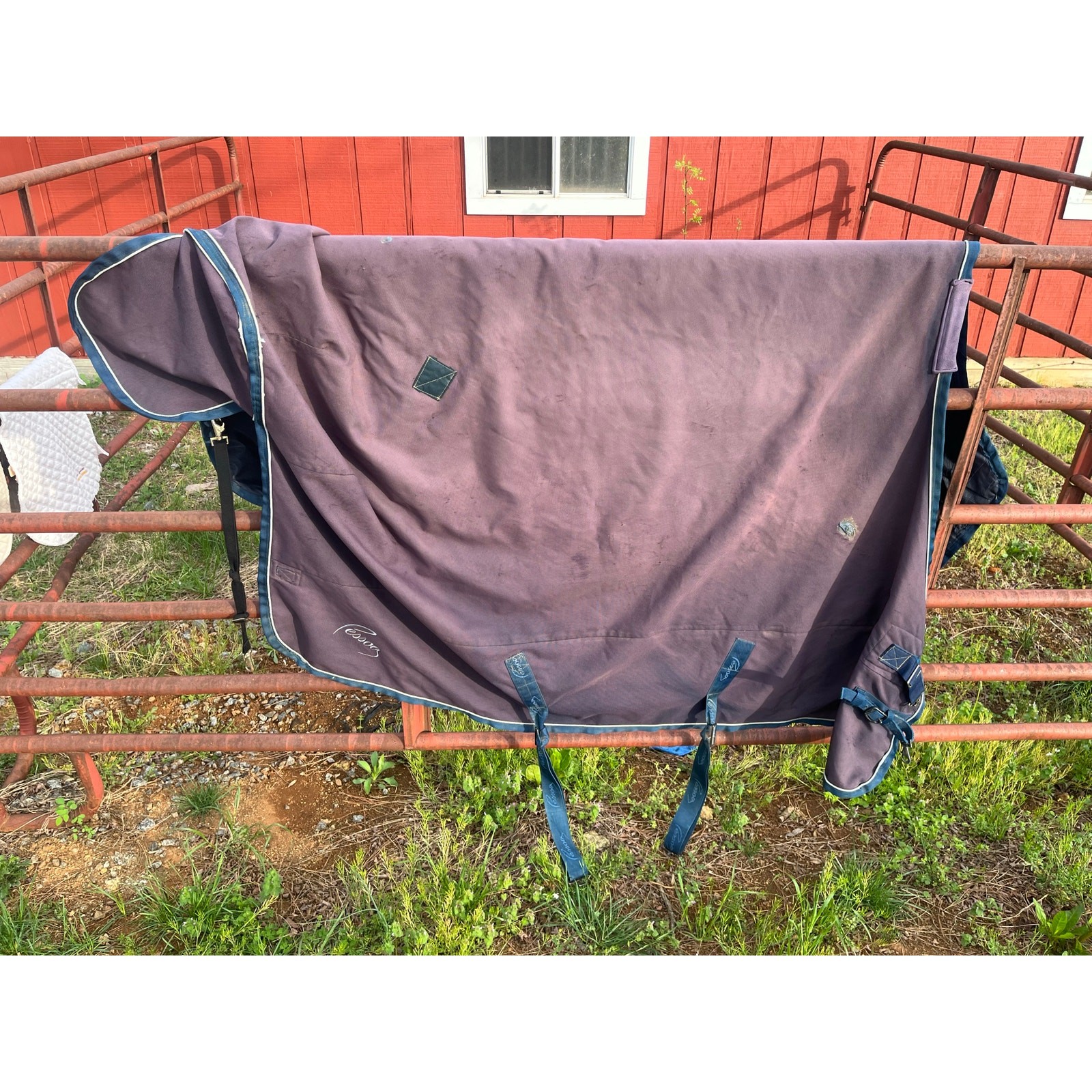 Pessoa Medium Horse Blanket size 78