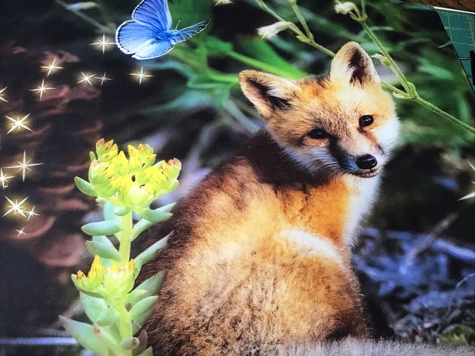 Fabric Hoffman Forest Fox & Butterfly Panel 4483, sold by the panel