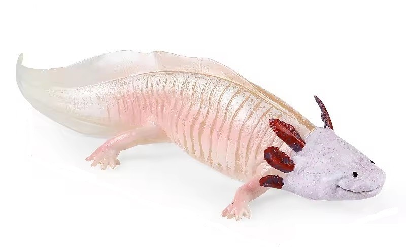 Salamander Axolotl Toy Action Figure Small Animal Figurine Doll Gift for Kids
