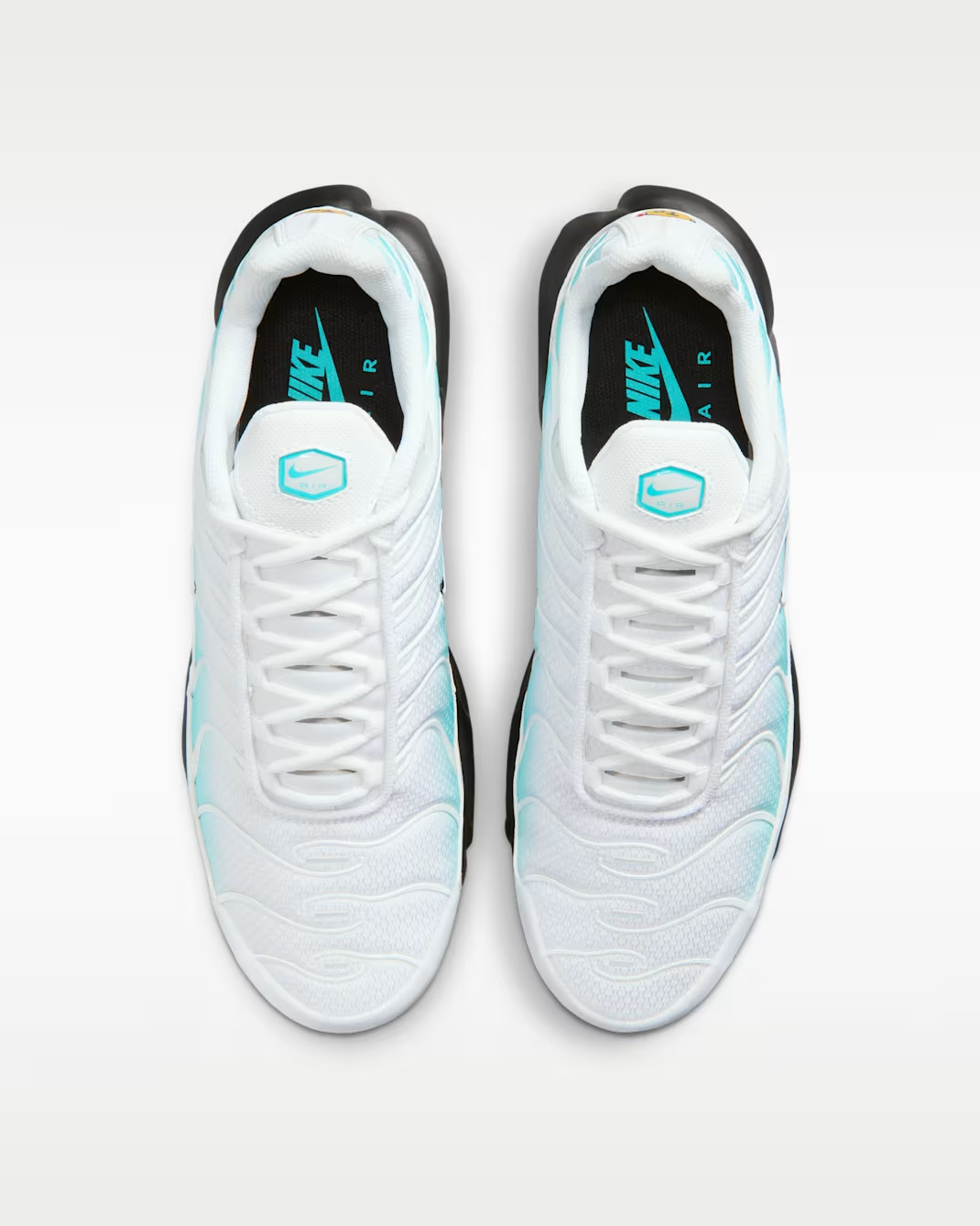 Nike Air Max Plus Men's Shoes in Dusty Cactus/Black/White