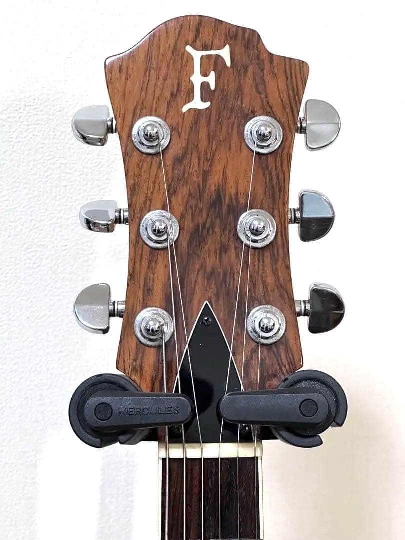 Fernandes Mg-105C Hide Model Crystal Acrylic Guitar