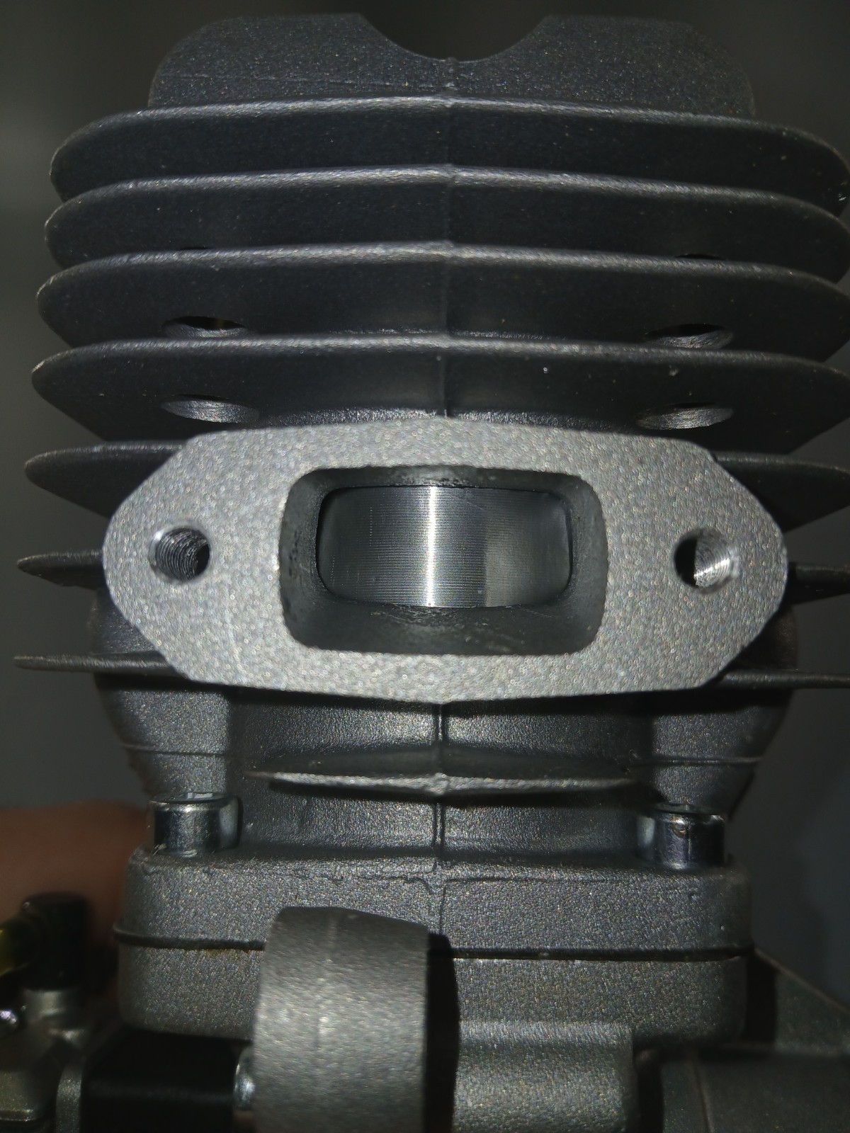 Dle 55 engine
