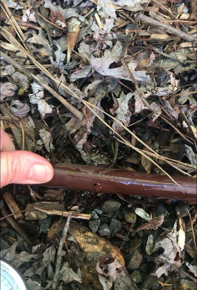 Drip irrigation pressure testing tool with 60 psi liquid filled gauge.