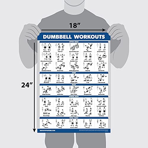 Palace Learning 4 Pack - Dumbbell Workouts + Bodyweight 18” x 24”, LAMINATED