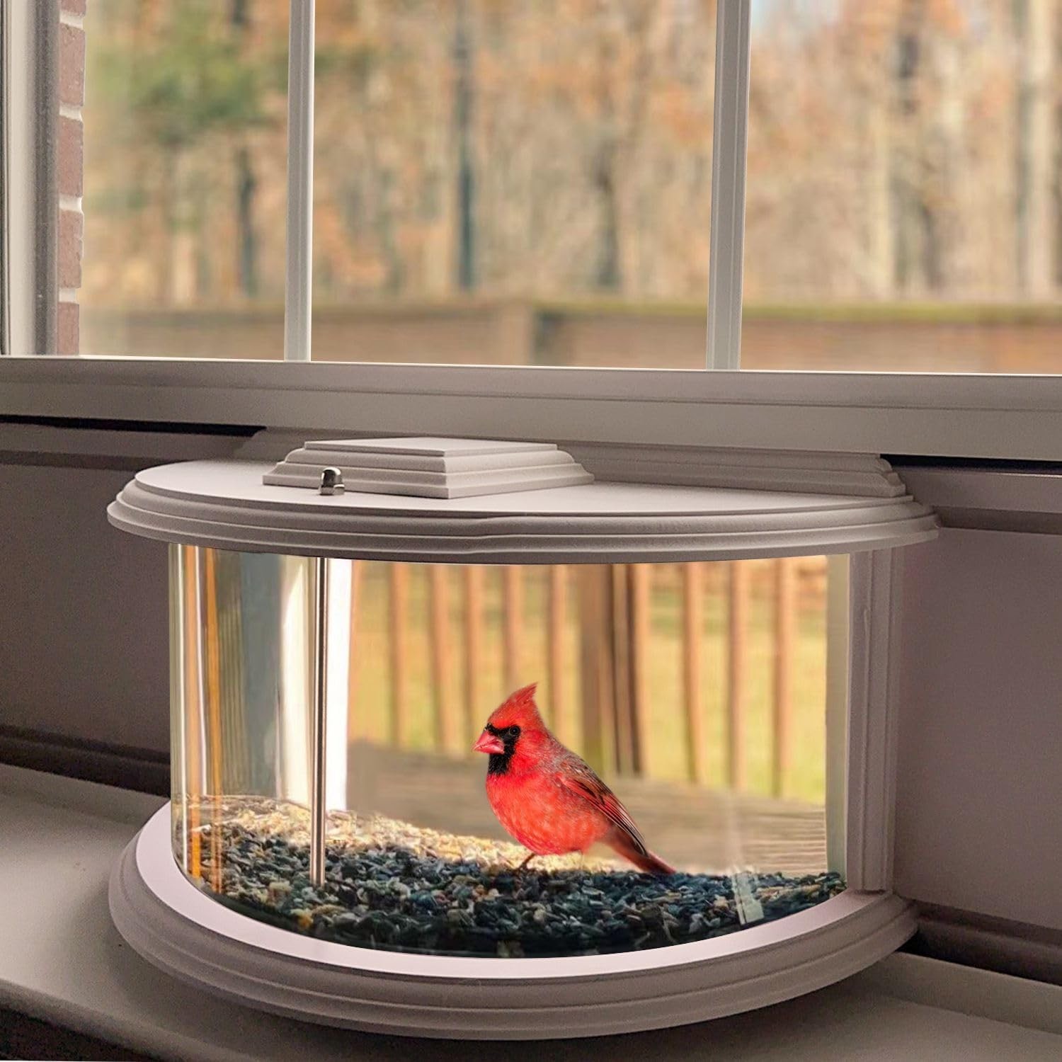 in Window Bird Feeders for Viewing - 180° Clear View Feeder, White