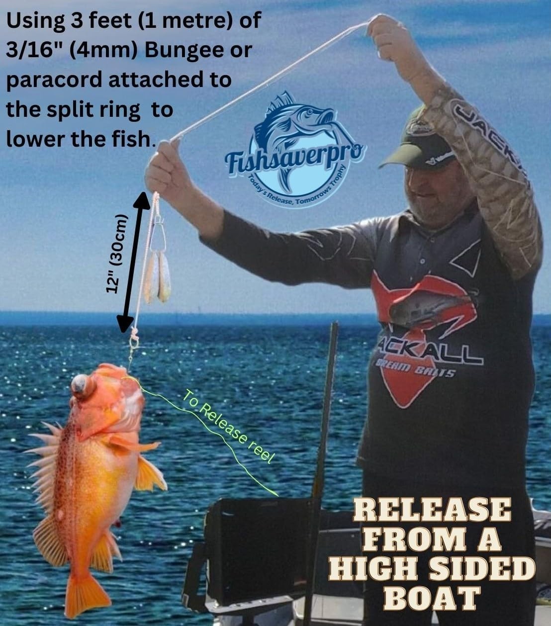 Compact Fish Descending Device - Reliable Release Tool for Red Snapper, NOAA Com
