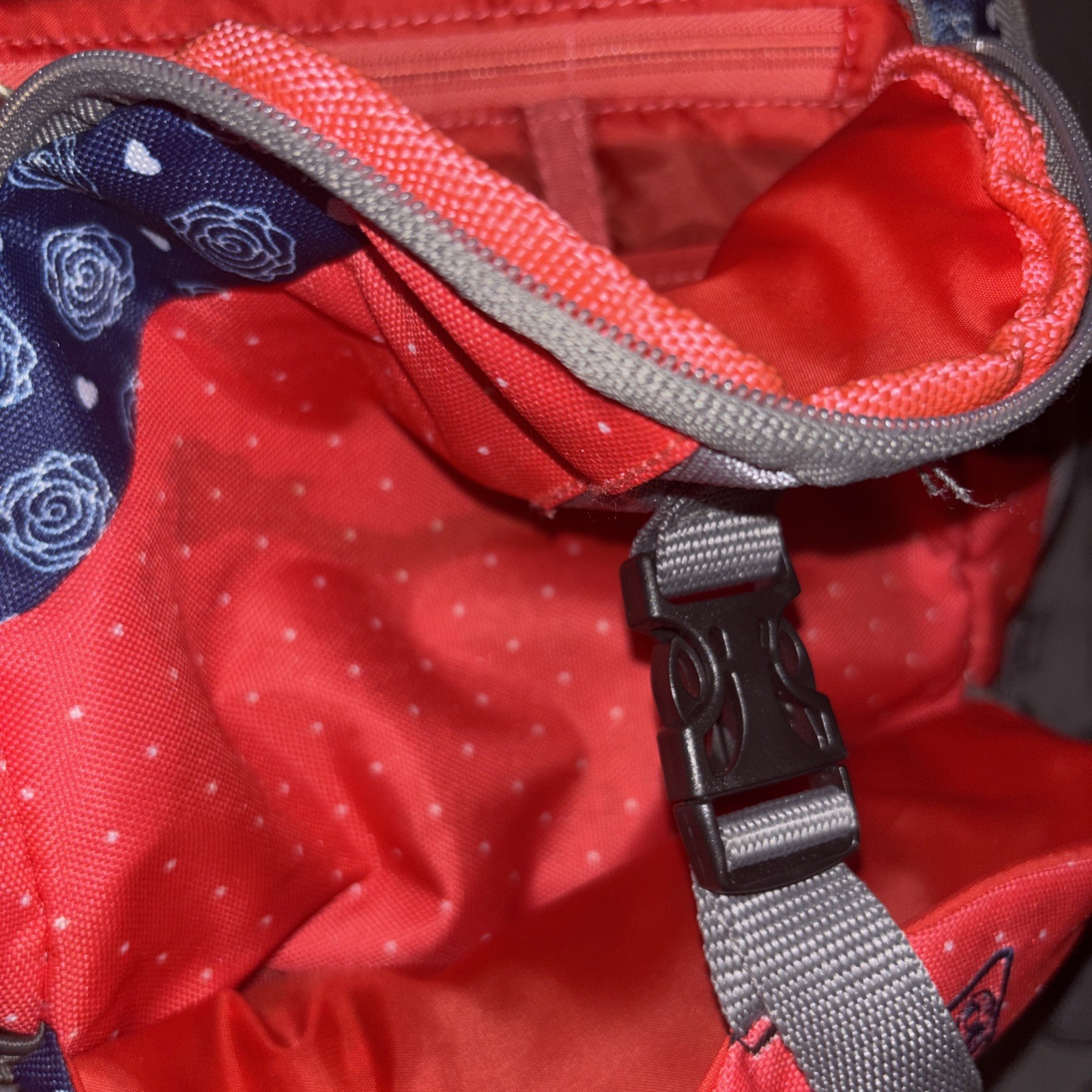 Coleman Backpack