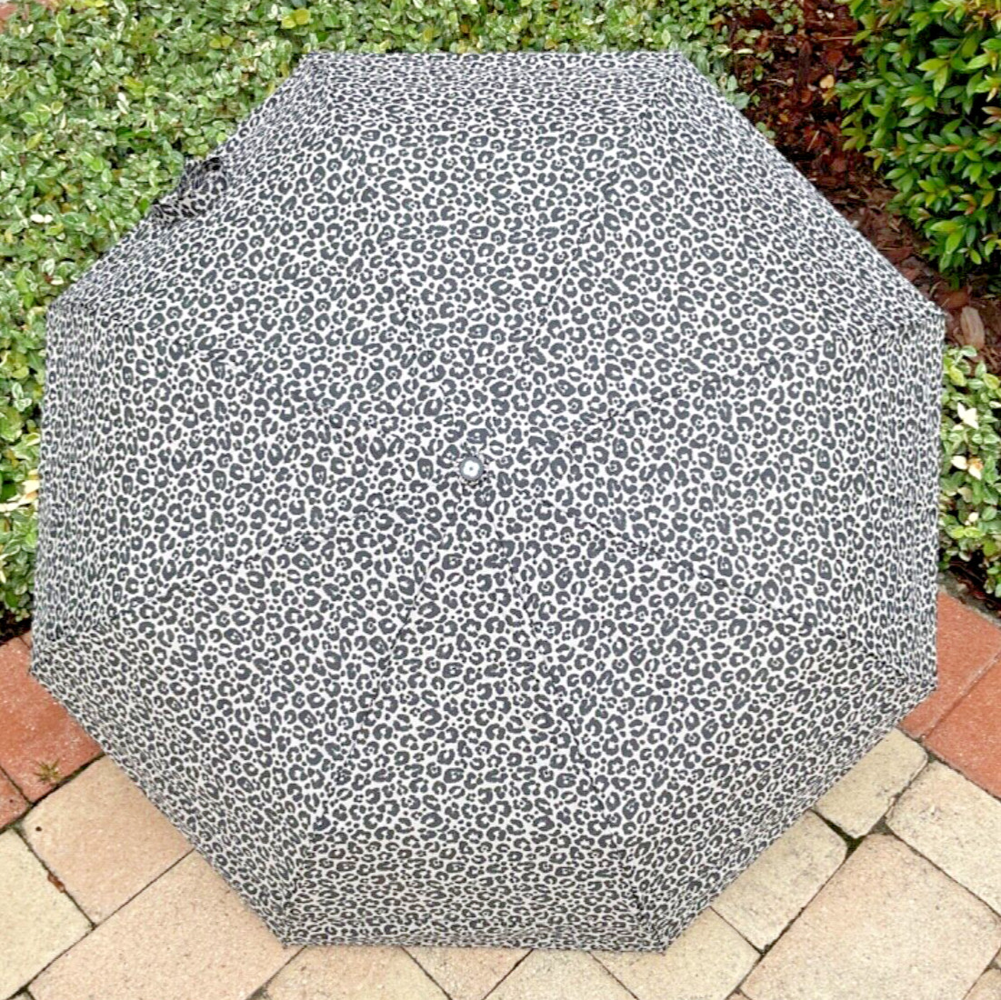 SAMSONITE UMBRELLA COMPACT AUTO OPEN CLOSE ANIMAL PRINT GREY BLACK CHEETAH NWT