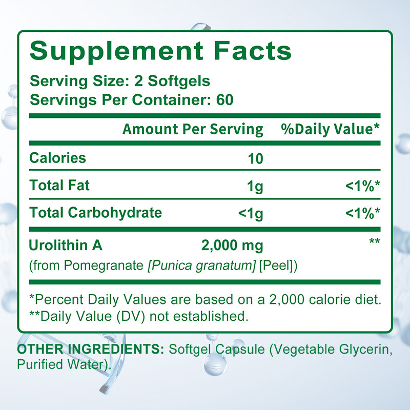 Urolithin A Supplement Improve Muscle Endurance Overall Health 120 Capsules US