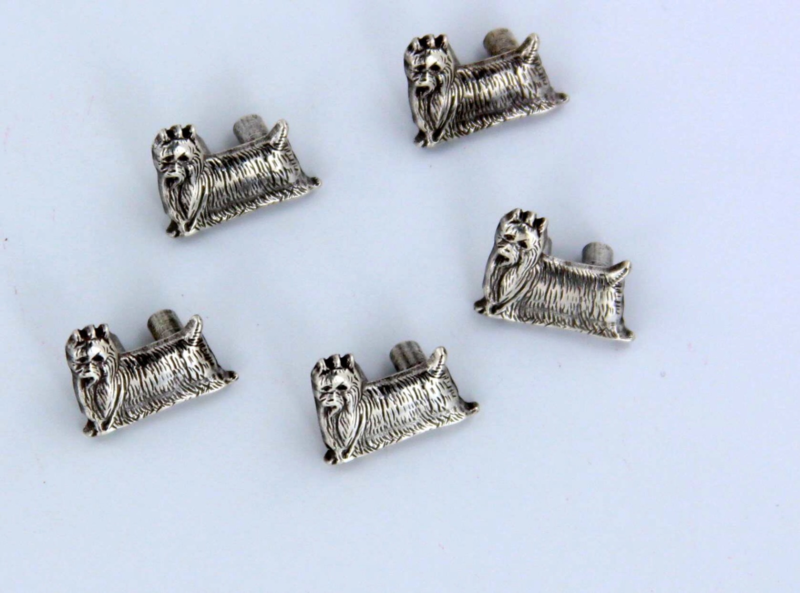 CONCHO 20 PIECES Yorkshire YORKIE Terrier 6mm Conchos Silver Enmon NEW