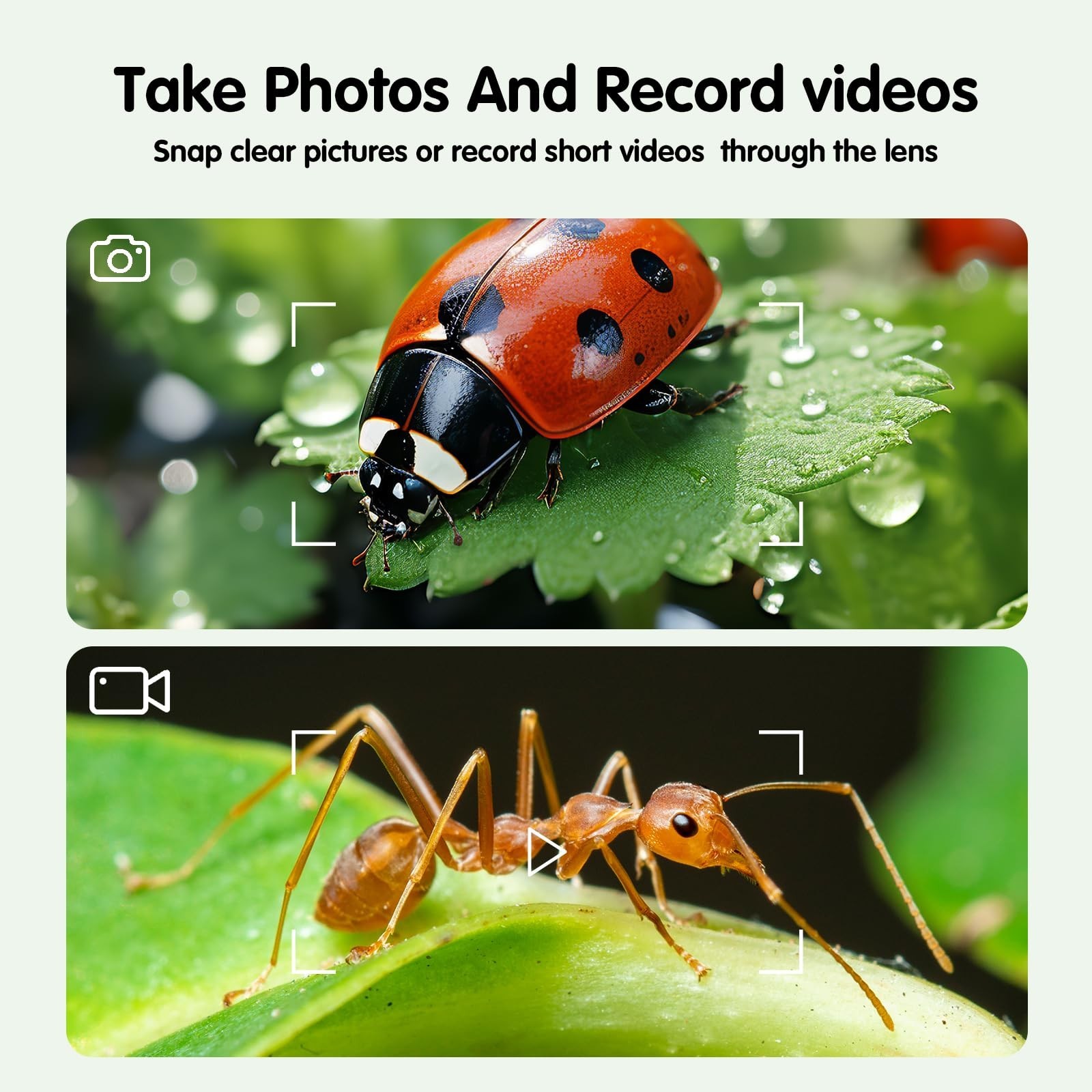 Microscope for Kids, Mini Portable Handheld Microscope with 500X Magnification,