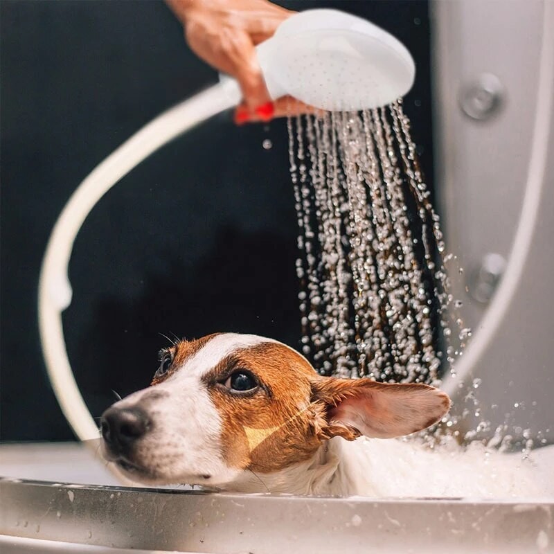 Portable Sink Spray Hose Handheld Pet Faucet Sprayer for Baby Bath Pet Hair Wash