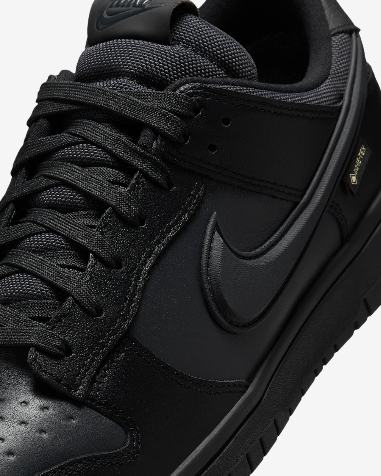 Nike Dunk Low GORE-TEX Black/Anthracite HQ2053-001 Men's Size