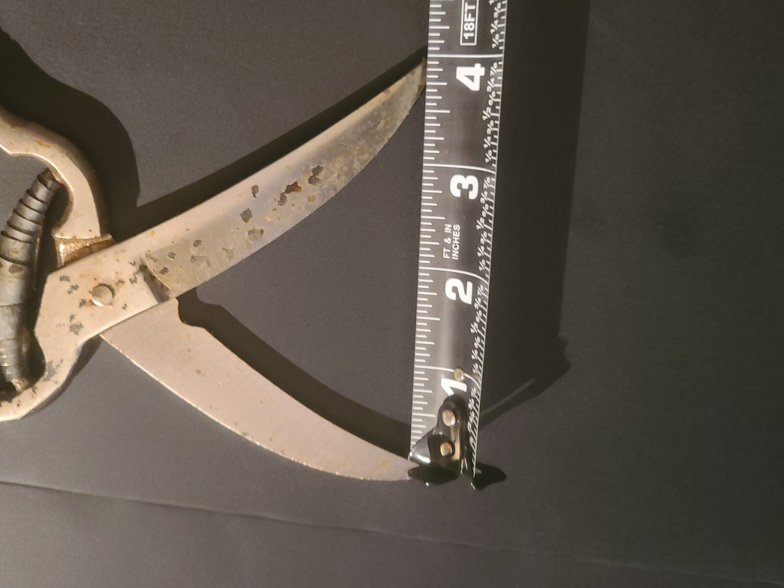 Vintage Poultry Chicken Shears Scissors Kitchen Tool Spring Opening UNMARKED